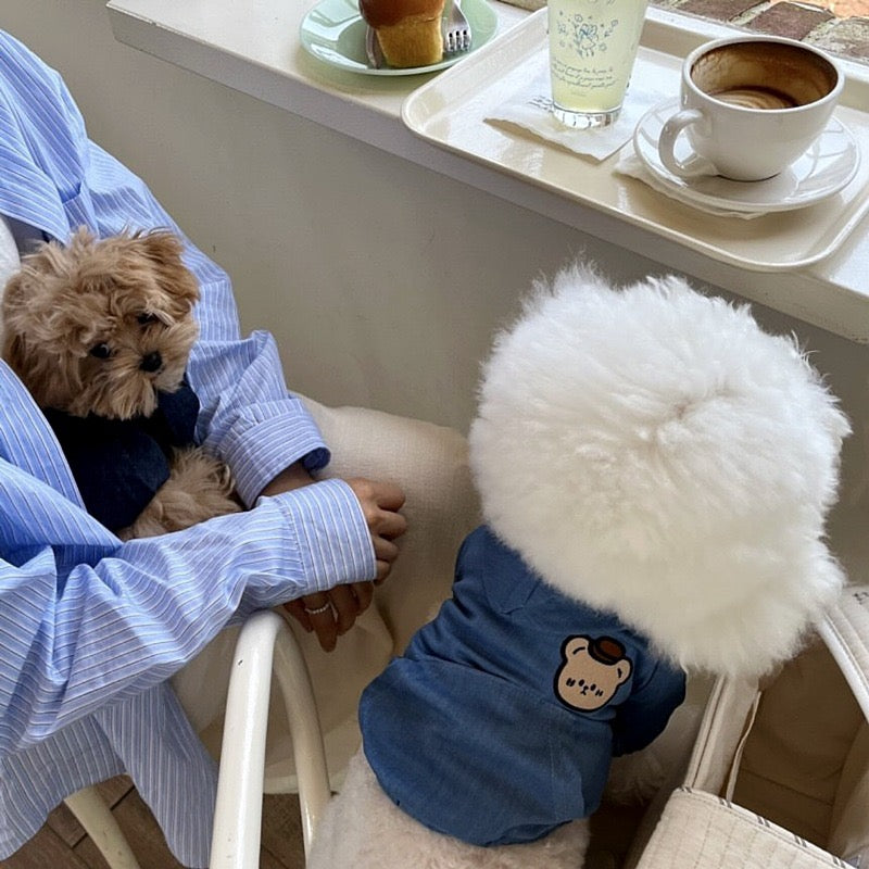 Denim Bear Hoodie