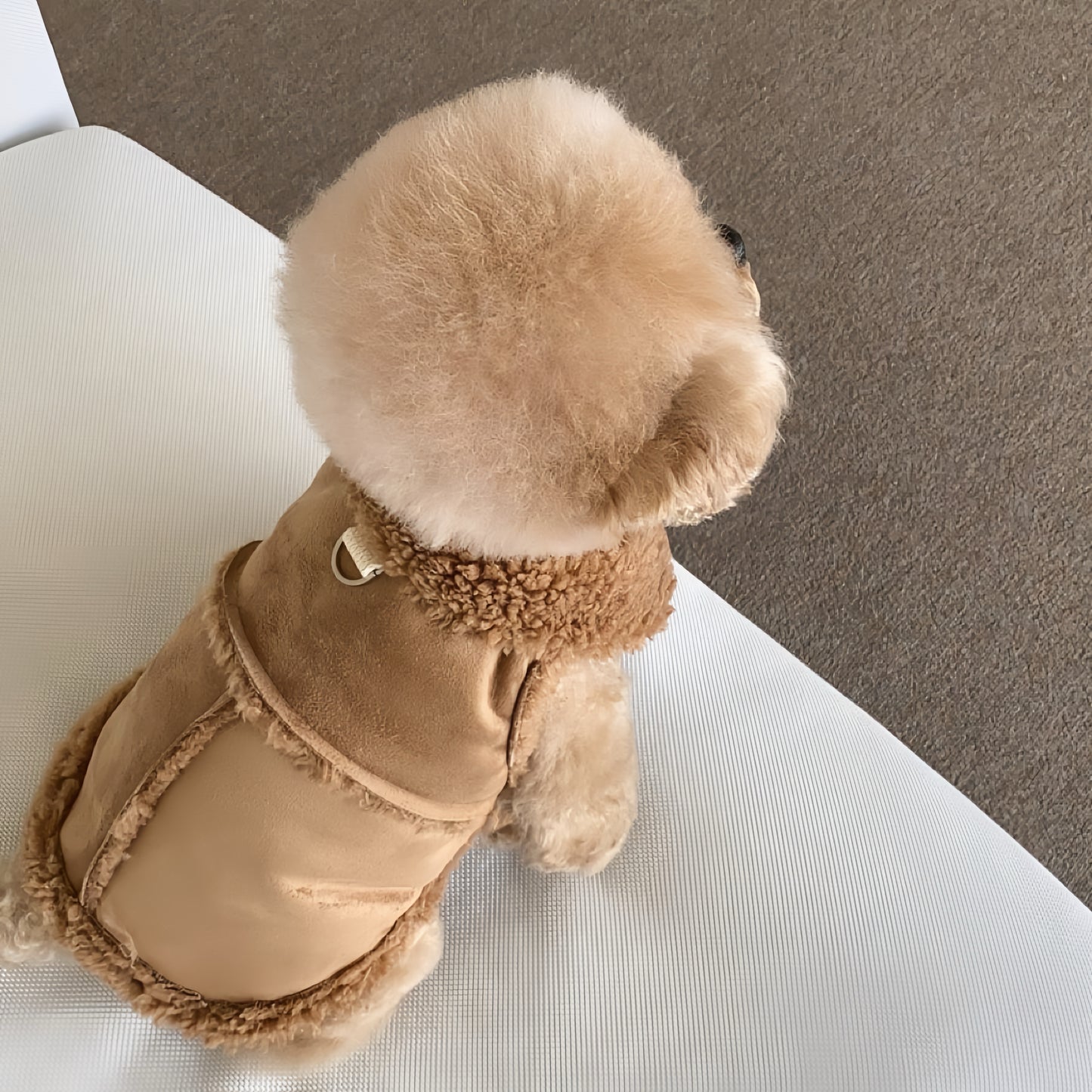 Cozy Brown Leash-Ready Vest