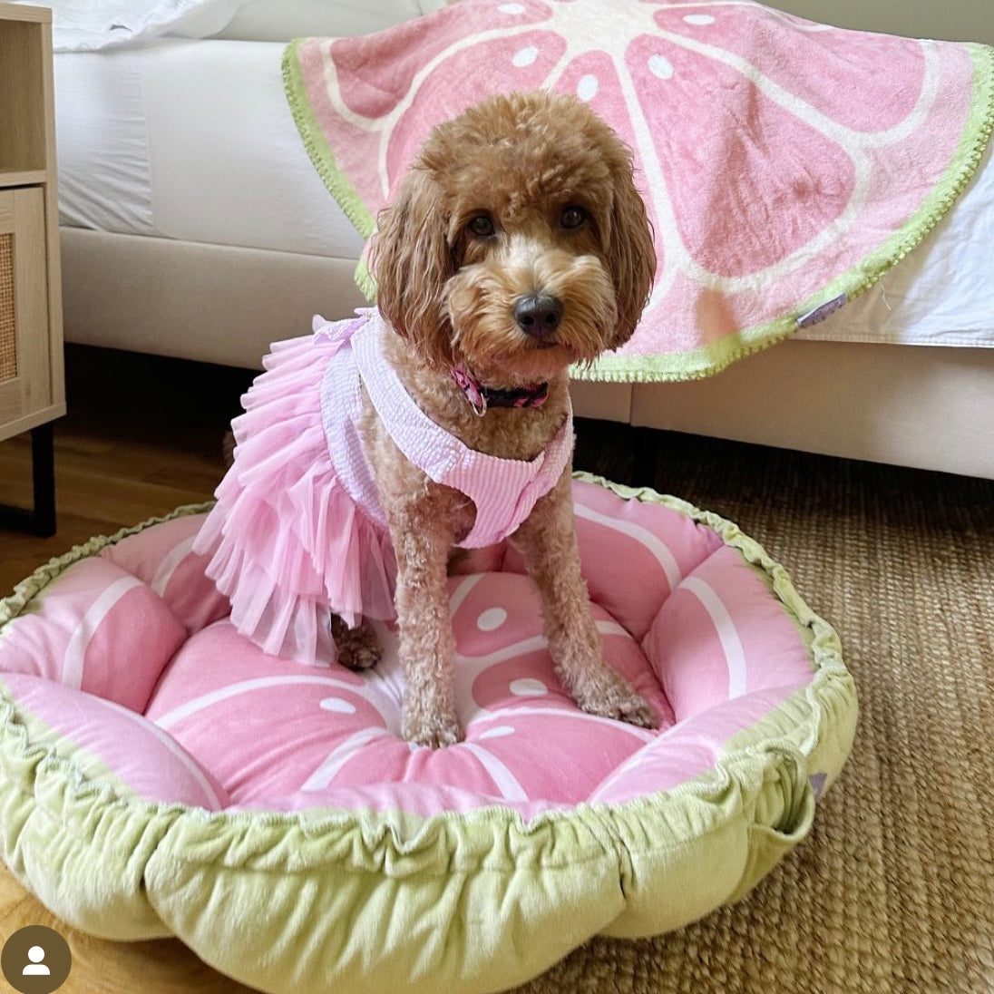 Fruit Bed