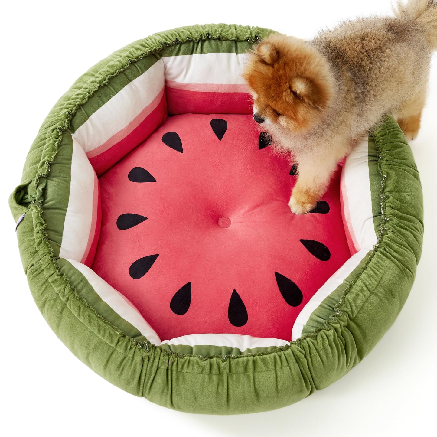 Fruit Bed