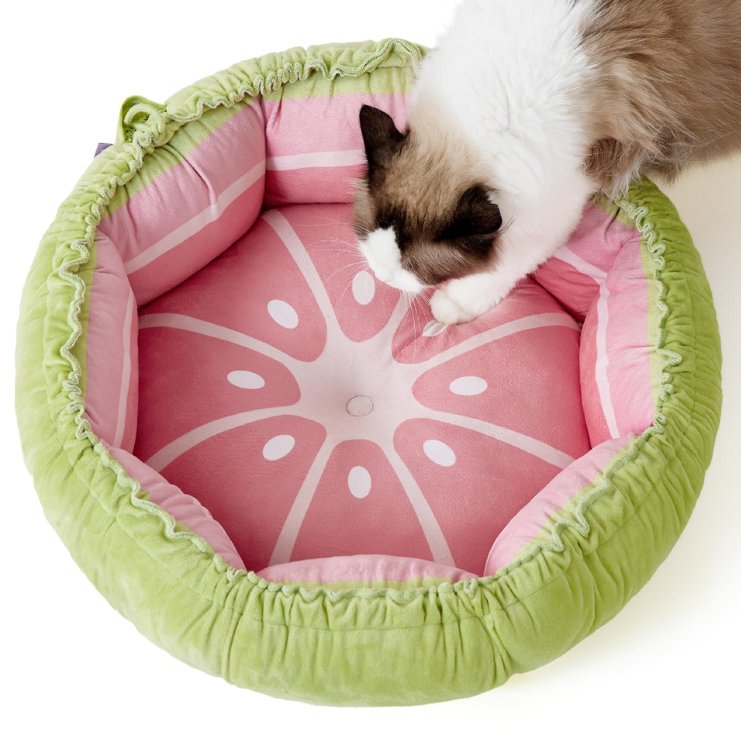 Fruit Bed