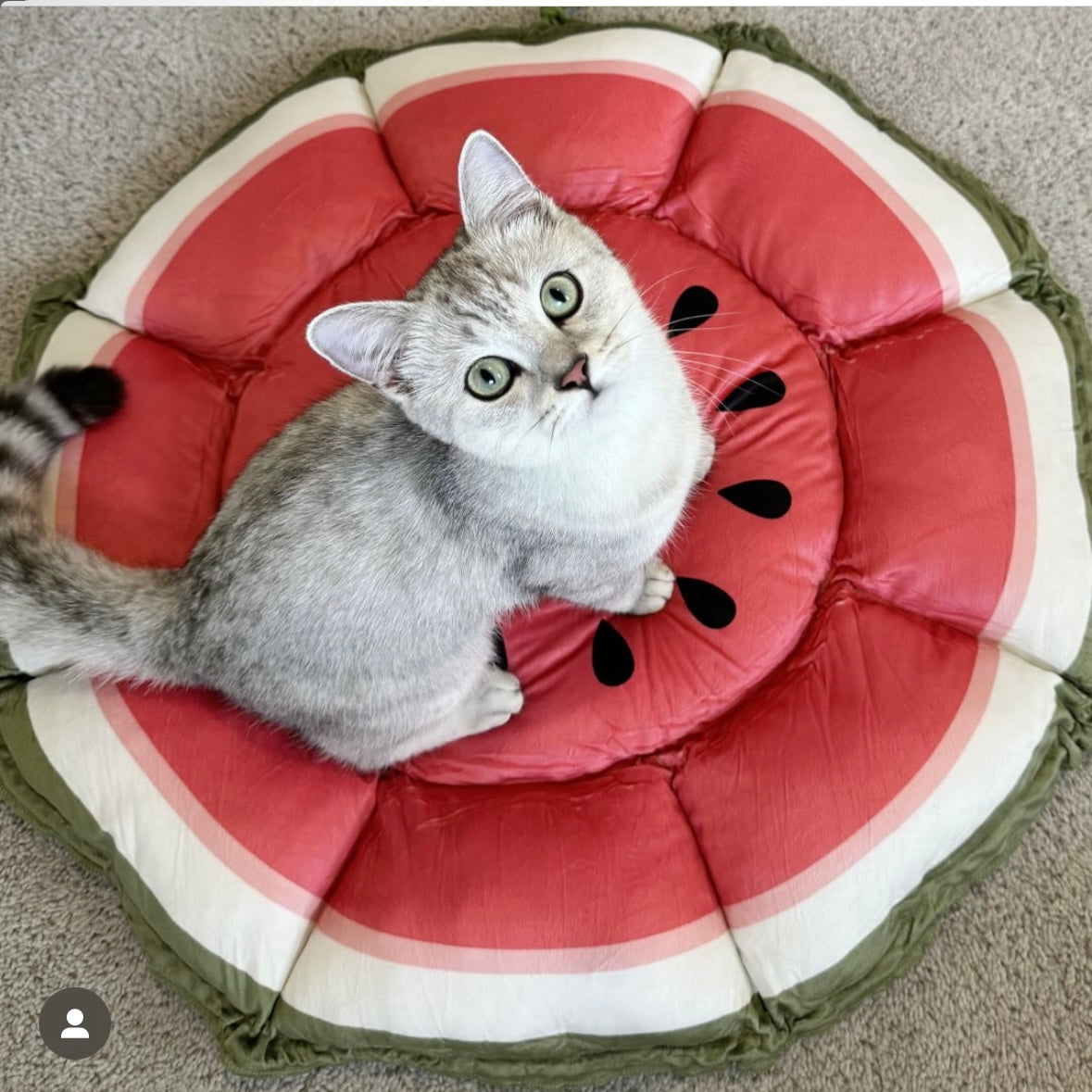 Fruit Bed