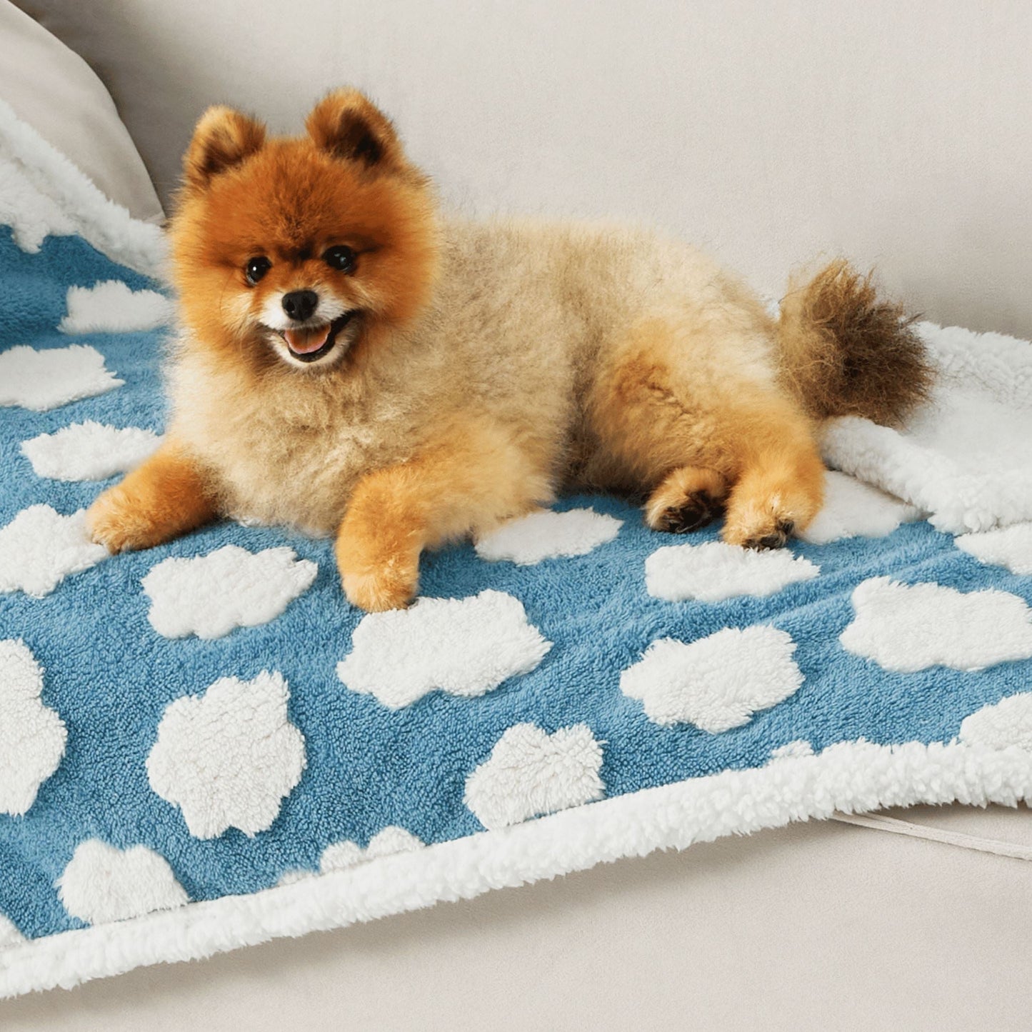Sherpa Blanket