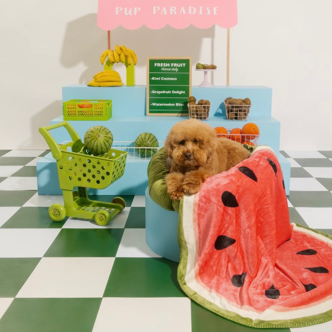 Fruit Blanket