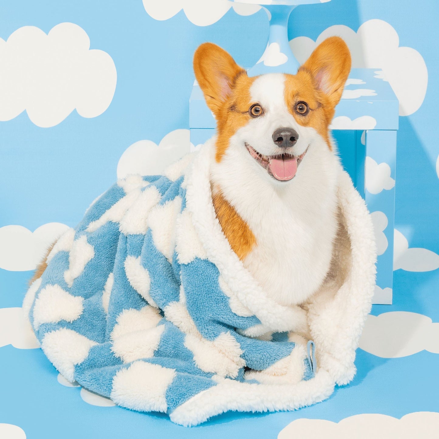 Sherpa Blanket