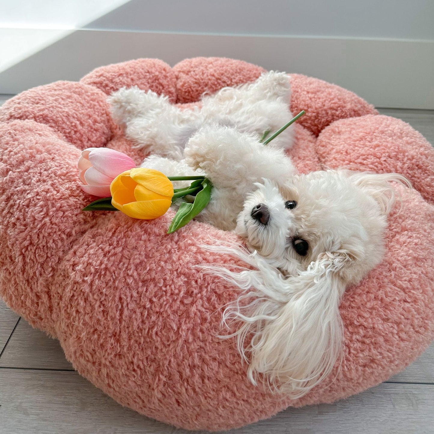 Flower Bed