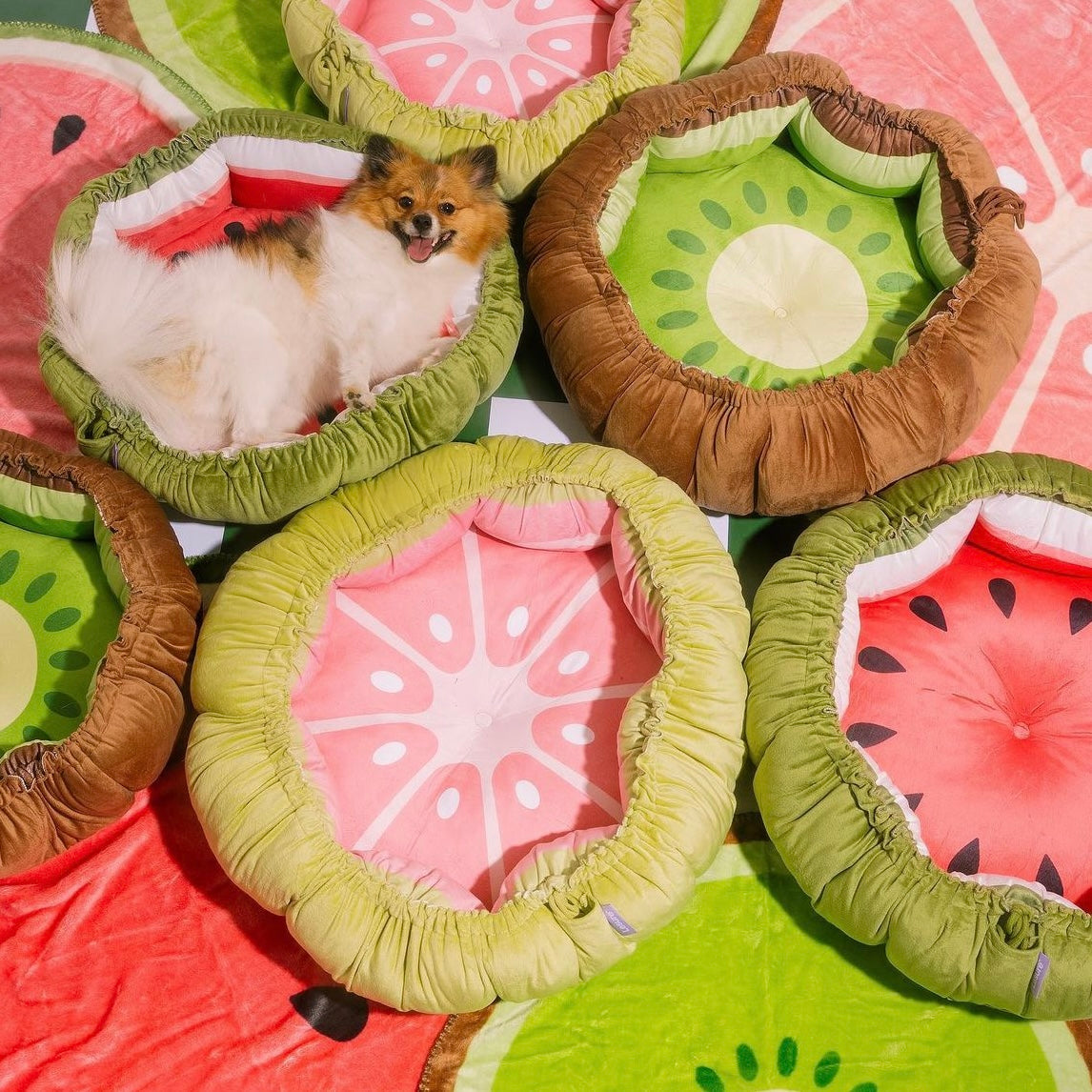 Fruit Bed