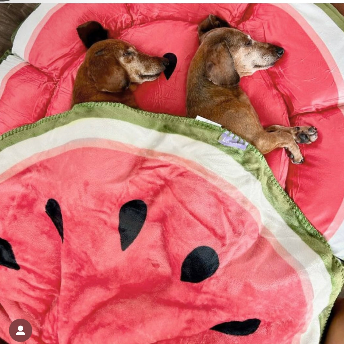 Fruit Blanket
