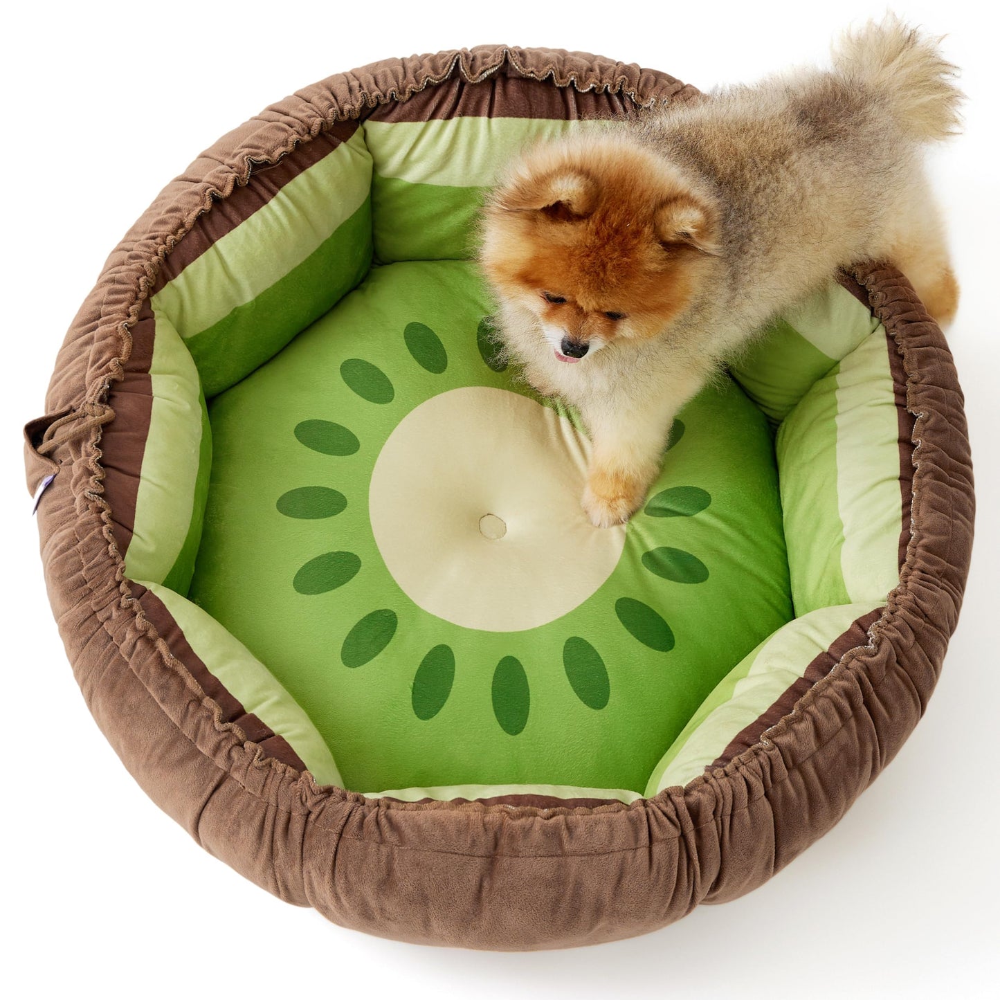 Fruit Bed