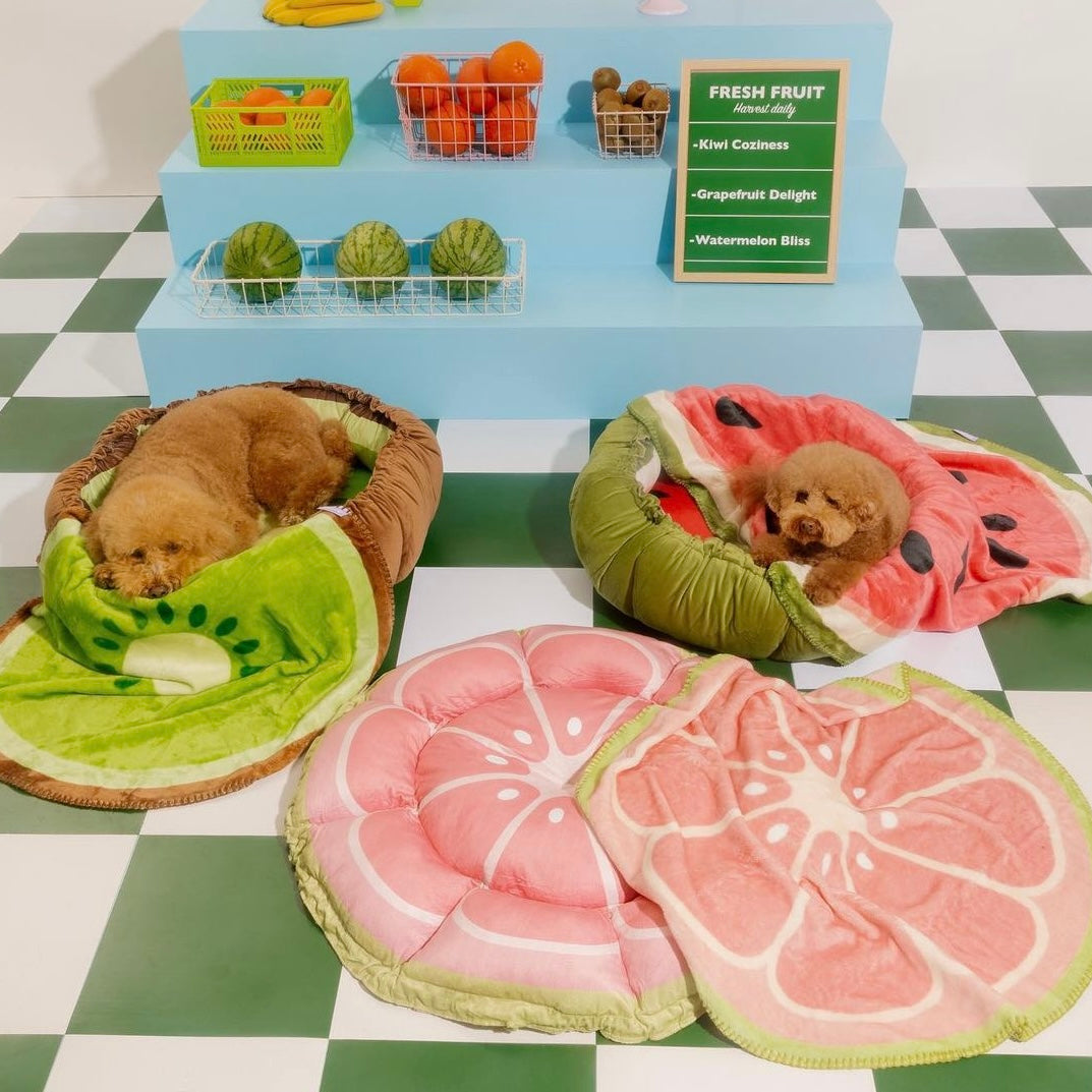 Fruit Blanket